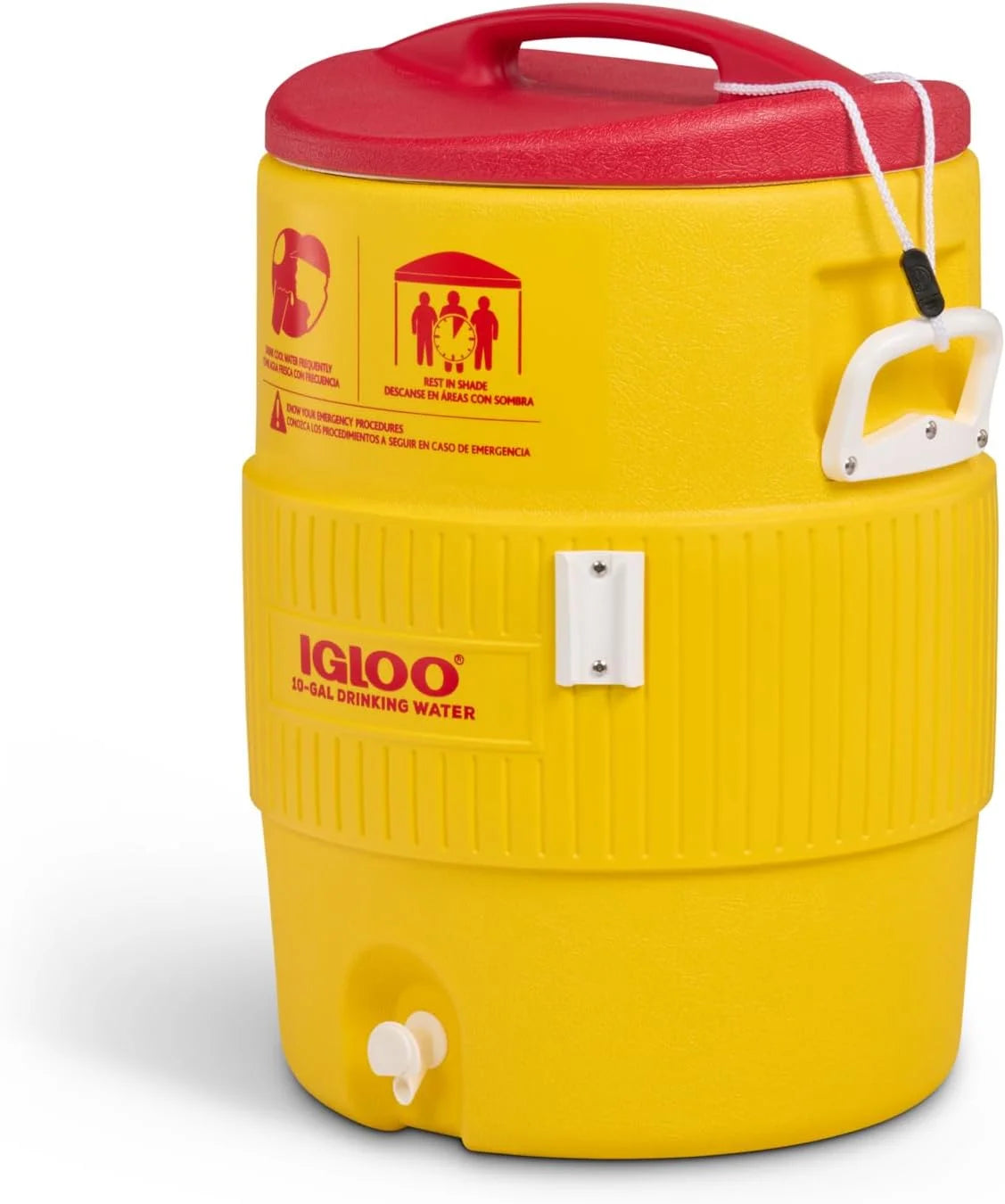 Special Sports Cooler - Image 3